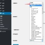 Ripro小工具显示区块受错误影响无法正常运行的2种解决方案