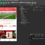 狮子鱼社区团购小程序v16.8.0独立开源版（无错无BUG稳定版）