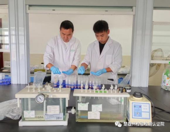 楚雄州检验检测认证院农产品检测中心开展省级农产品质量安全例行监测工作