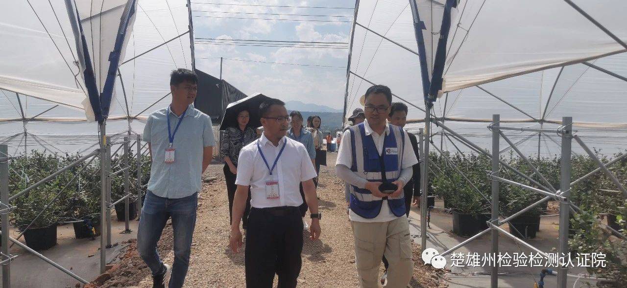 李贵平到元谋、永仁、武定开展调研