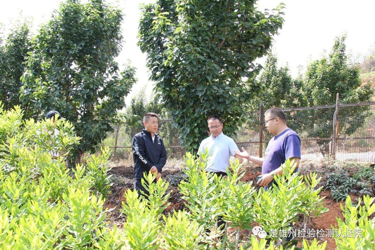 李贵平以“四不两直”方式调研双柏县、楚雄市、南华县检验检测工作