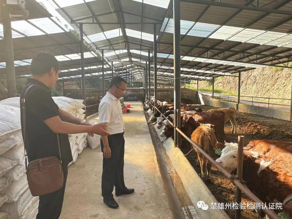 楚雄州检验检测认证院调研组到永仁县、大姚县调研工作