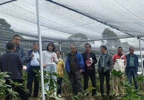 省市场监督管理局调研组到州检验检测认证院调研指导云南省生物彝药产业计量测试中心筹建工作