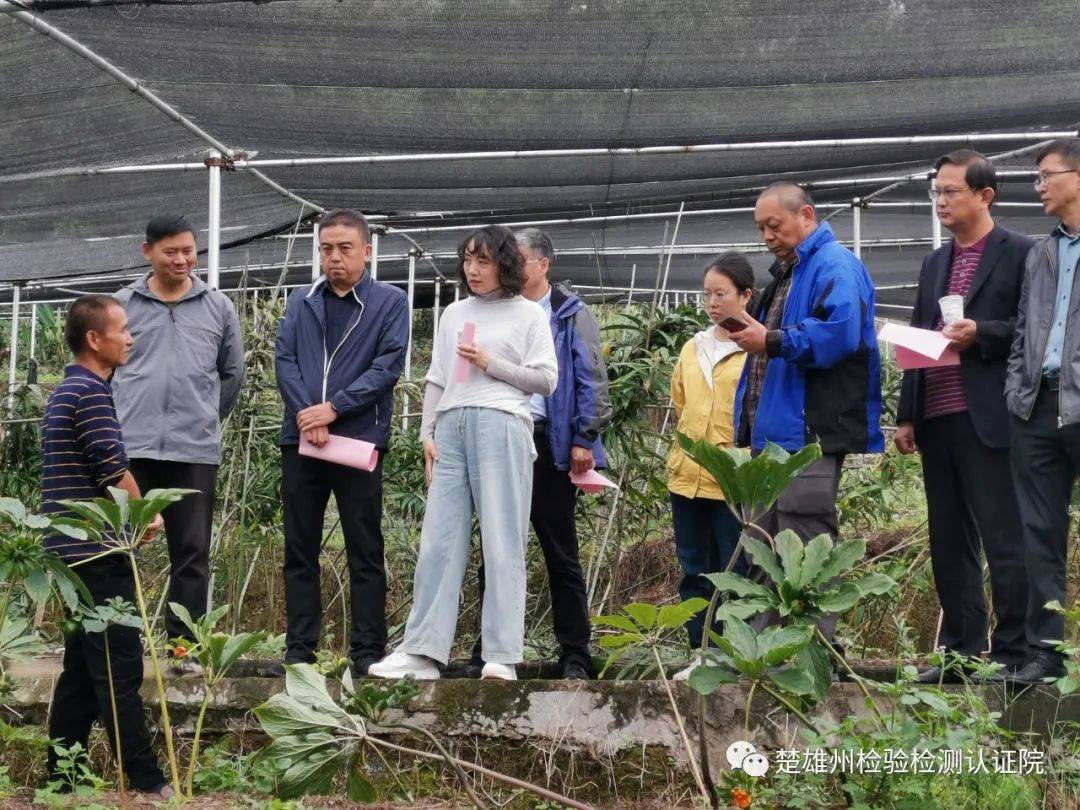 省市场监督管理局计量处到楚雄州检验检测认证院检查指导工作