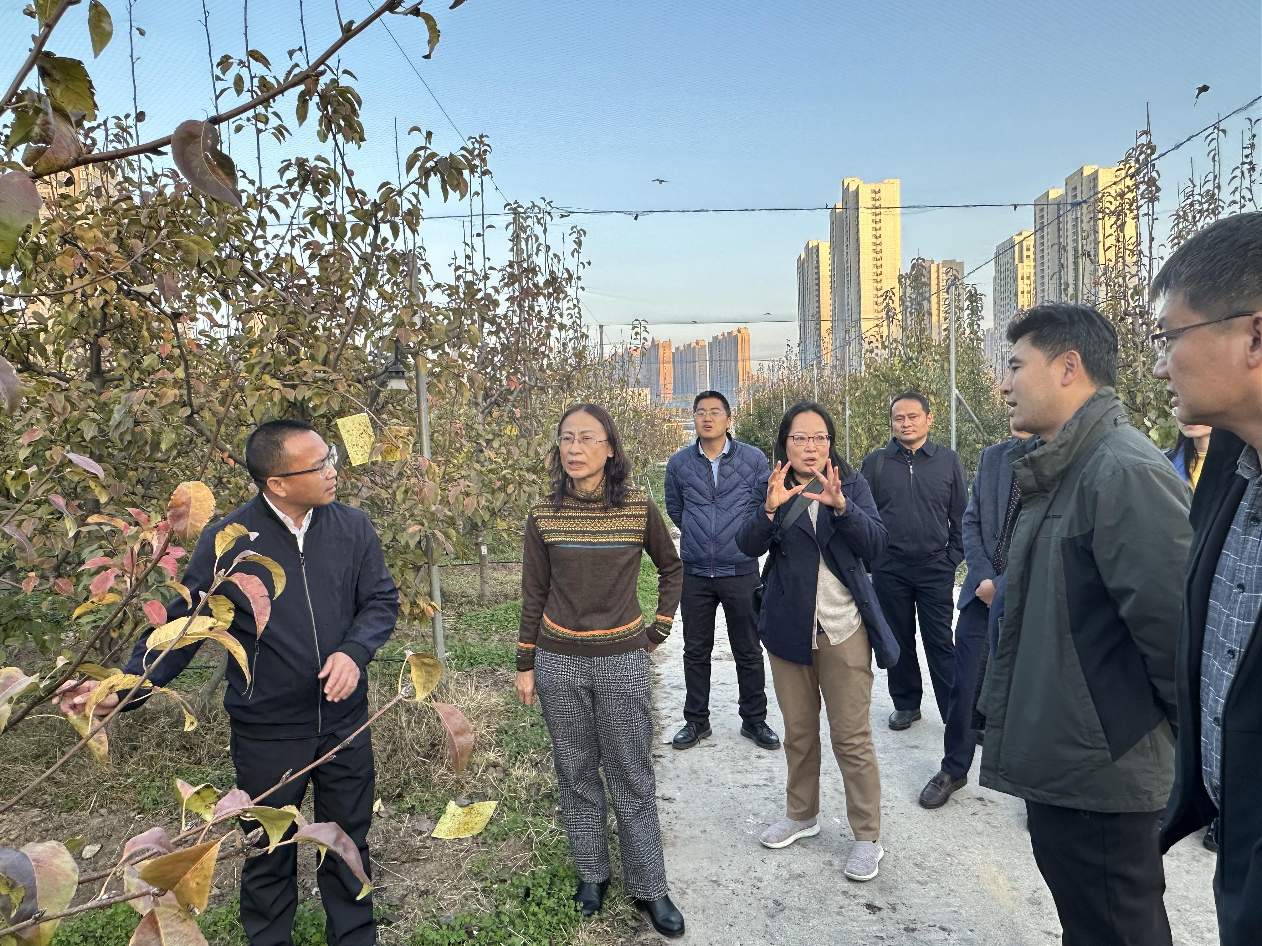 楚雄州检验检测认证院考察组到中国农业科学院郑州果树研究所对接楚雄云果产业技术研究院揭牌及理事会筹备等工作