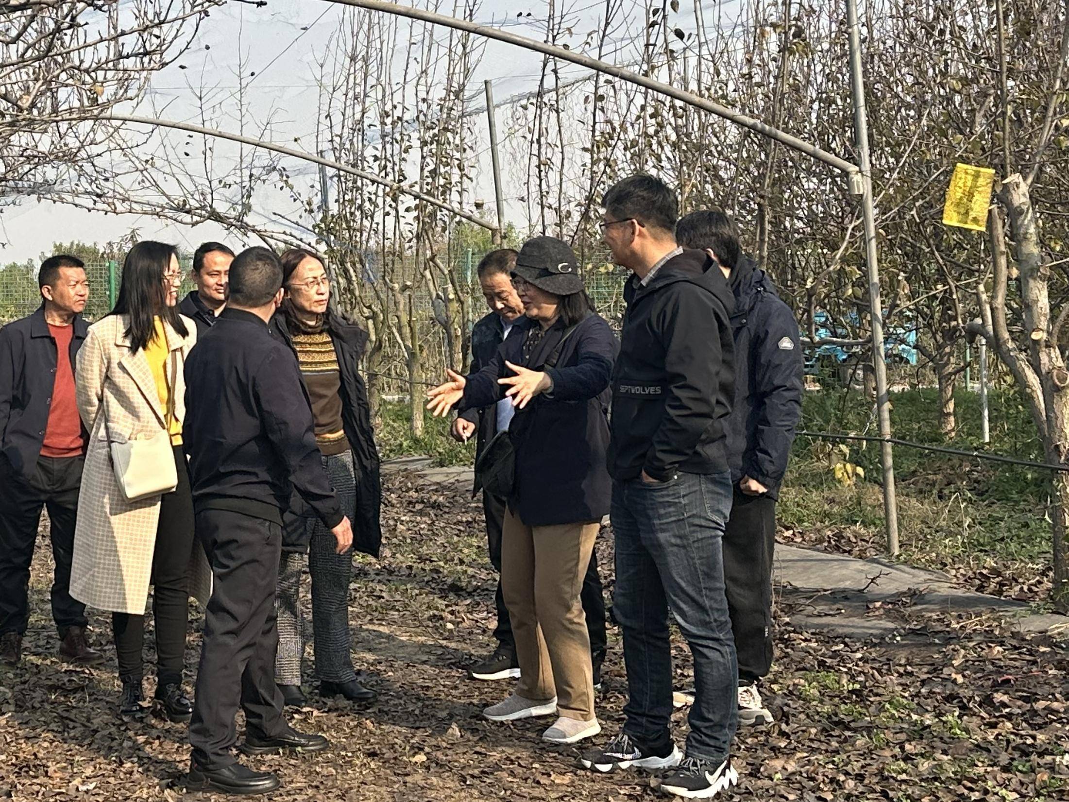 楚雄州检验检测认证院考察组到中国农业科学院郑州果树研究所对接楚雄云果产业技术研究院揭牌及理事会筹备等工作