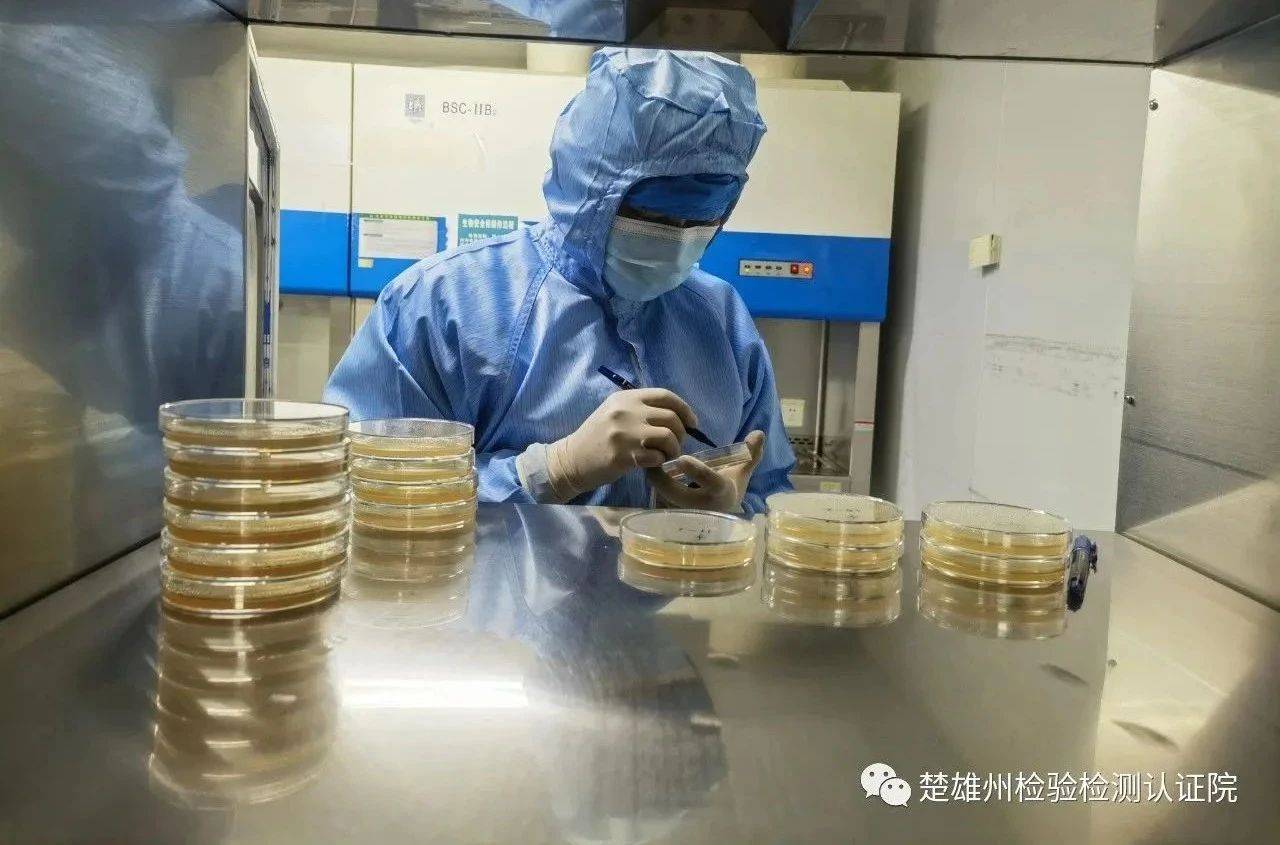 【检测为民】楚雄州检验检测认证院出台优化服务药企 服务医疗机构工作方案